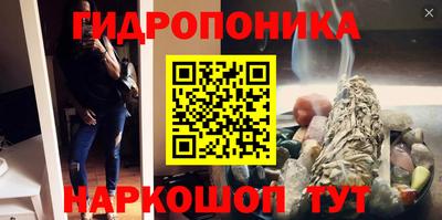 apvp Дубна