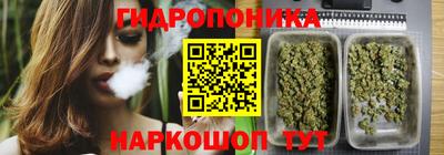МДПВ Донецк