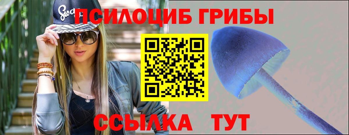 Галлюциногенные грибы мицелий Красный Сулин
