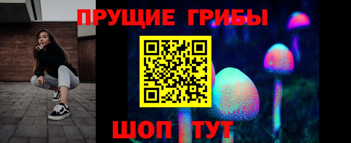 Красный Сулин  Галлюциногенные грибы прущие грибы  Вход с VPN 